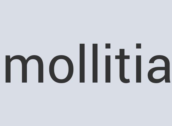 Fantastic Linen BigWay