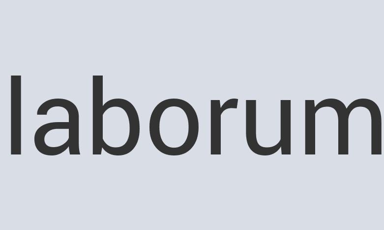 Ergonomic Wool Rot Dog