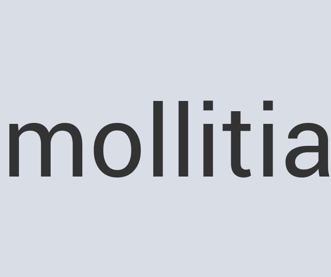 Fantastic Leather Aqua Radiant