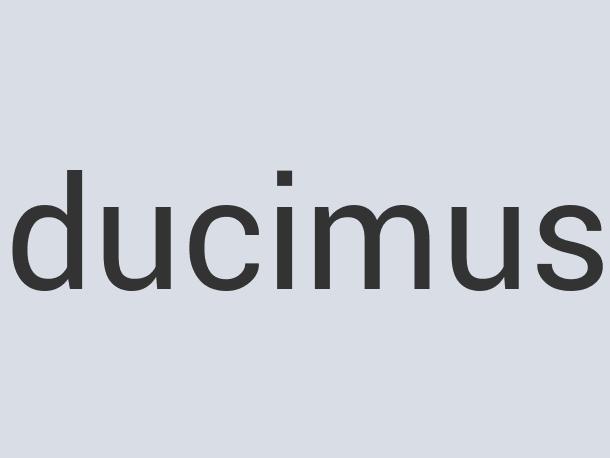 Aerodynamic Wool LeatherChrome