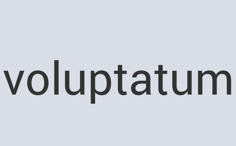 Heavy Duty Copper Guru Smile