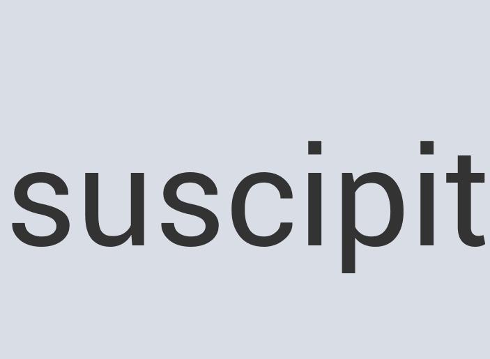 Small Leather Combath