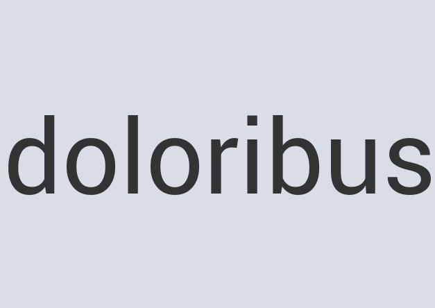 Durable Aluminum Flying Salad Bear