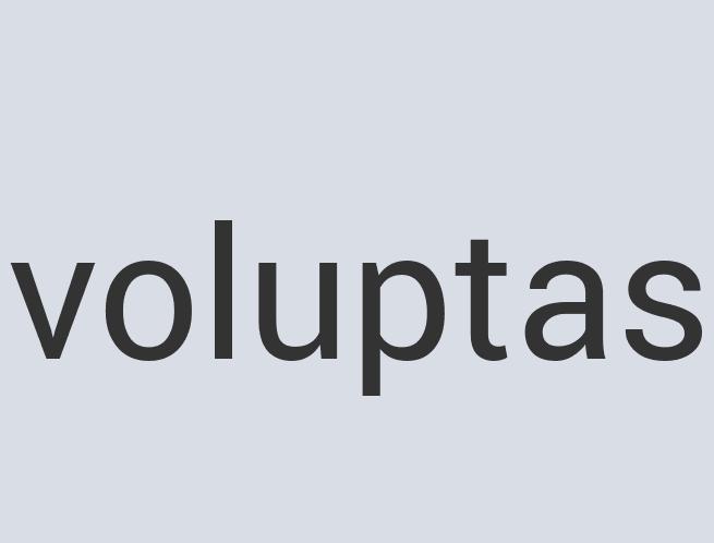 Enormous Paper Daycore