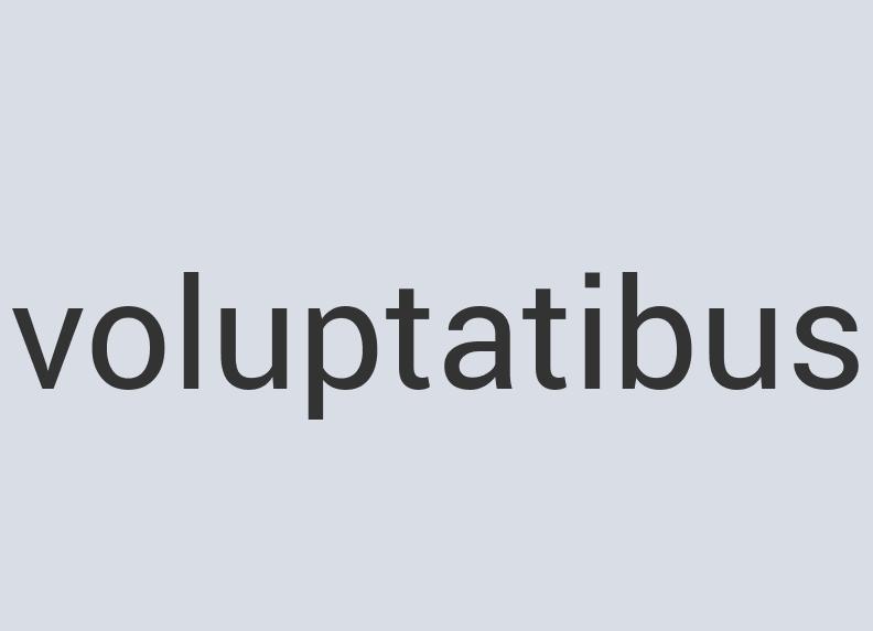 Sleek Bronze DoorPrize