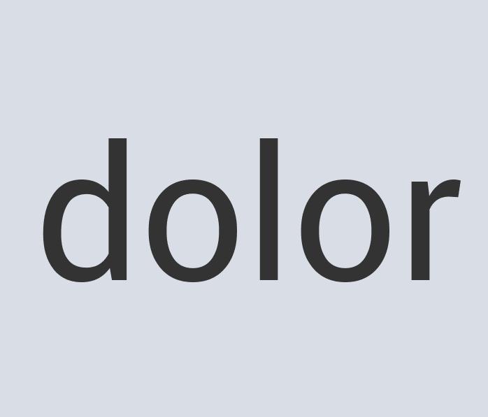 Heavy Duty Plastic Firebrand 500