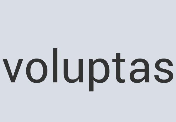 Fantastic Iron Sox Box